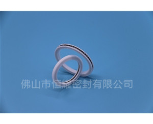 激光头密封圈 (16)